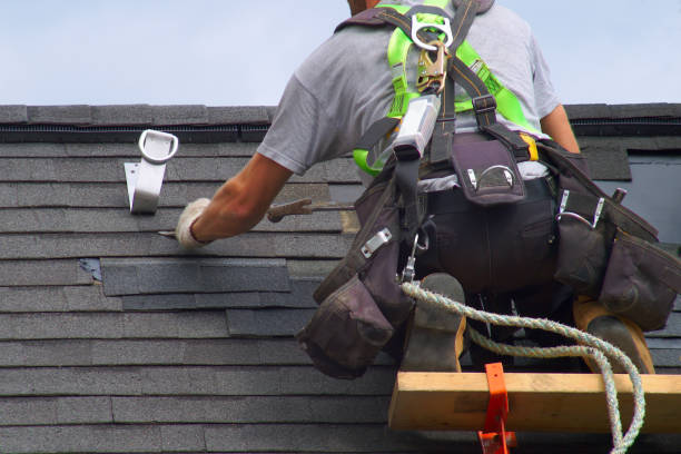 Best Roof Ventilation Installation  in Montrose, MN
