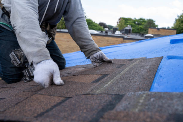 Best Metal Roofing Installation  in Montrose, MN