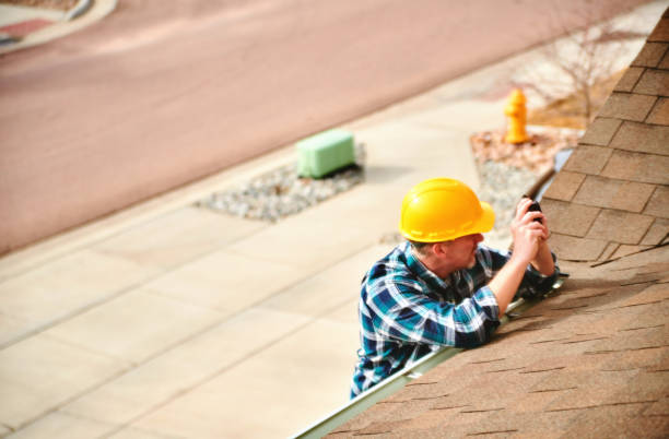 Best Roof Moss and Algae Removal  in Montrose, MN