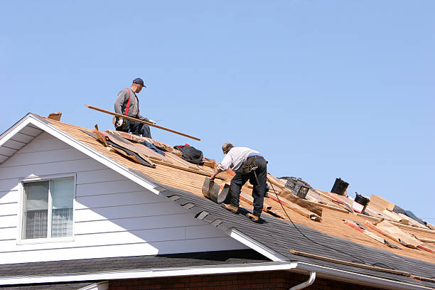  Montrose, MN Roofing repair and installation Pros