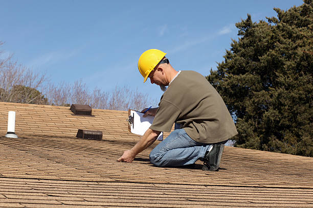 Best Roof Coating and Sealing  in Montrose, MN