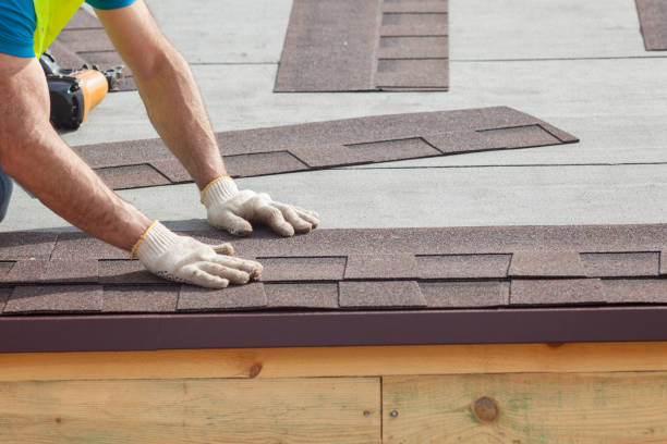 Best Gutter Installation and Repair  in Montrose, MN